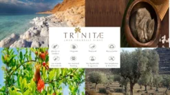 Nachtmann Vorteilsset 6 X 1 Glas/Stck Becher 636/71 Highland Smoke 97443 Und Gratis 1 X Trinitae Körperpflegeprodukt 7 Nachtmann Vorteilsset 6 X 1 Glas/Stck Becher 636/71 Highland Smoke 97443 Und Gratis 1 X Trinitae Körperpflegeprodukt -Weinglas Serien Geschäft 67077e59e1a1032d5c820cf4eae4ab17