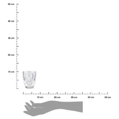 Glas 250 Ml 6er Set Aus Glas Transparent 10cm X 8cm 7 Glas 250 Ml 6er Set Aus Glas Transparent 10cm X 8cm -Weinglas Serien Geschäft 6f5420c667a7eb3c41989c05aa037d5d