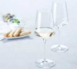 Leonardo Rieslingglas 400ml Puccini -Weinglas Serien Geschäft fecd412c41a2ecc0a6cd74db808d3262